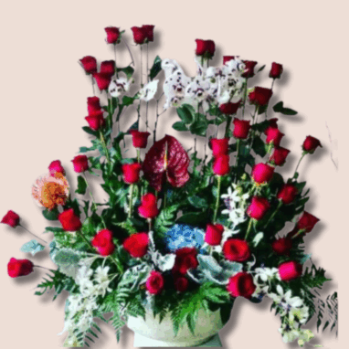 Arreglos para Hombres de Cumpleaños 36 50 Rosas y 3 Orquídeas