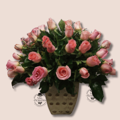 Arreglos para Hombres de Cumpleaños 39 75 Rosas Rosa en Arreglo Floral