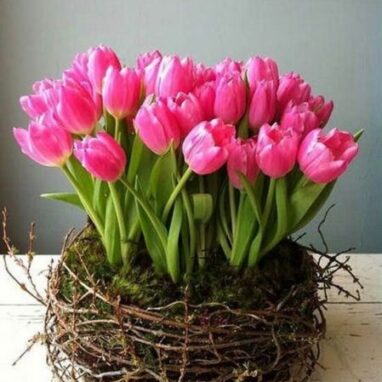 Regalos 14 de febrero - Nido de tulipanes
