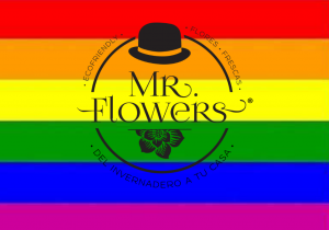 Bandera Gay Mr Flowers Bandera Gay Mr Flowers