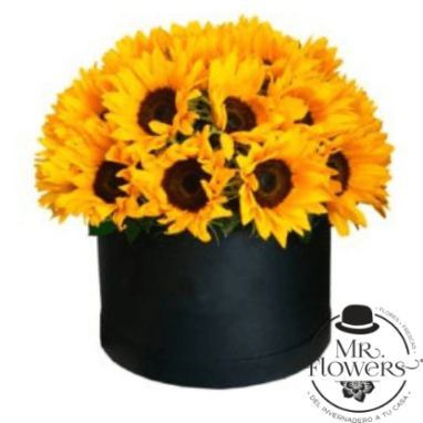 Caja con Girasoles