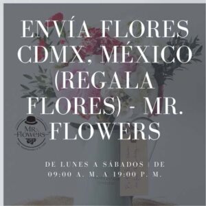 Envía flores CDMX, México (Regala flores) - Mr. Flowers