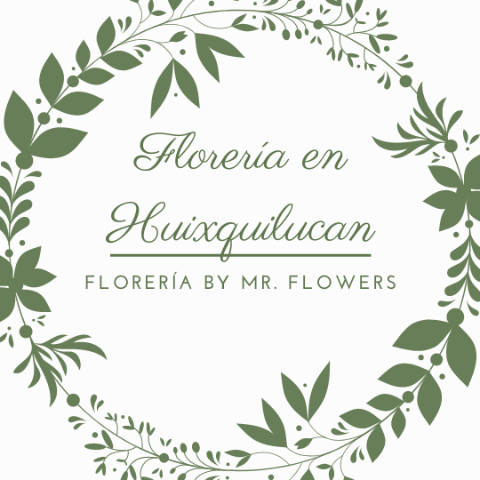 Florería en Huixquilucan - Mr. Flowers