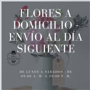 Flores a Domicilio - Envío al Día Siguiente