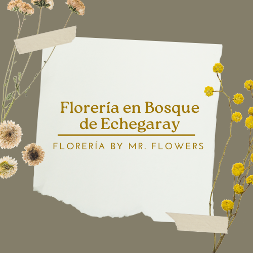 Floreria en Bosque de Echegaray