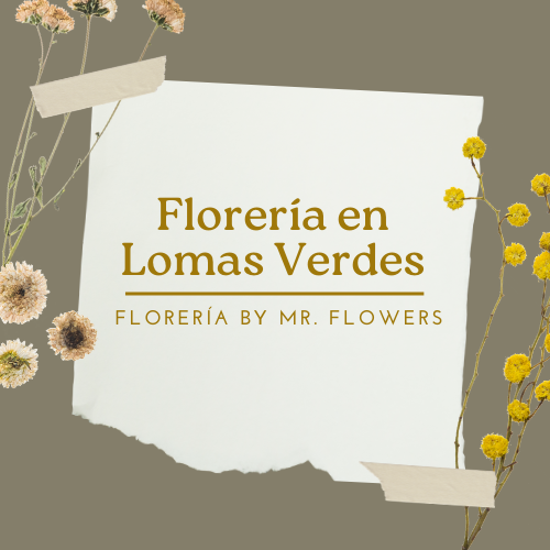Florería en Lomas Verdes - Mr. Flowers