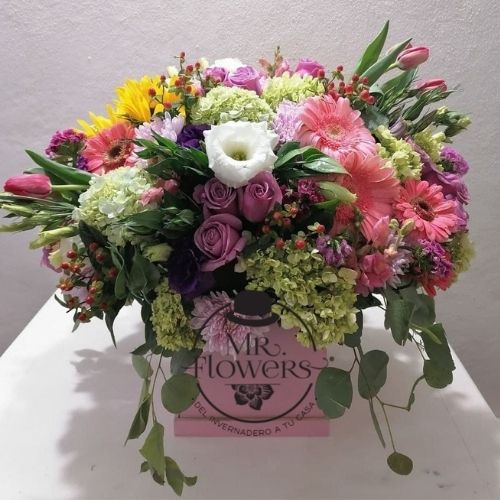 Florería a Domicilio - Flores a Domicilio - Florería Mr. Flowers