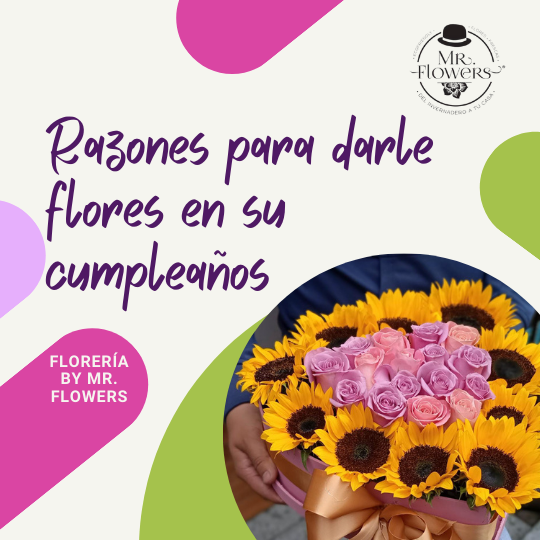 Razones para Darle Flores en su Cumpleaños