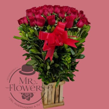 Detalle de Amor - 50 Rosas