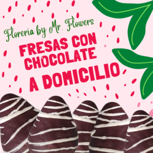 Fresas con Chocolate a Domicilio