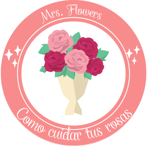 Como cuidar tus rosas