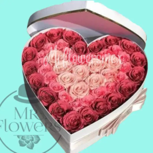 Caja de Rosas Degradado