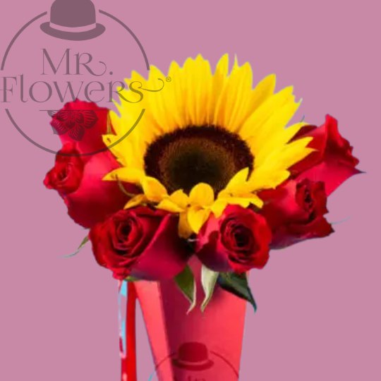 Florería CDMX Envió de Rosas Rojas