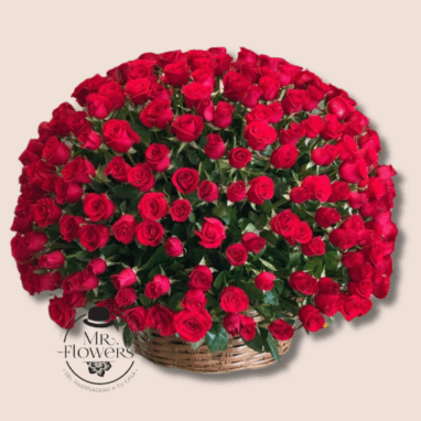 Arreglos para Hombres de Cumpleaños 38 Flores a domicilio -500 Rosas 2
