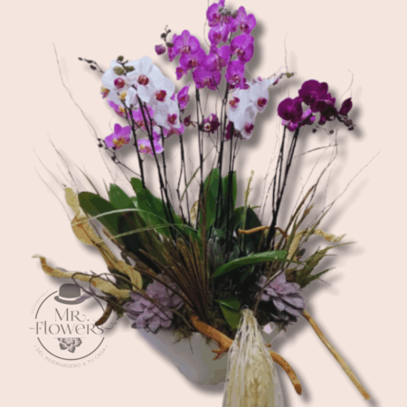 Bowl-de-Orquideas-2.png Bowl de Orquideas - Image 1