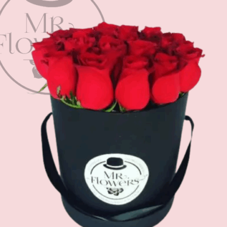 Caja con 24 Rosas Rojas - Image 1