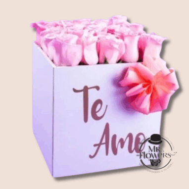 Flores a domicilio -Caja con 24 Rosas Rosas 1