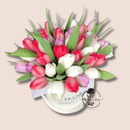 Caja-con-60-Tulipanes-1.png Caja con 60 Tulipanes - Image 1