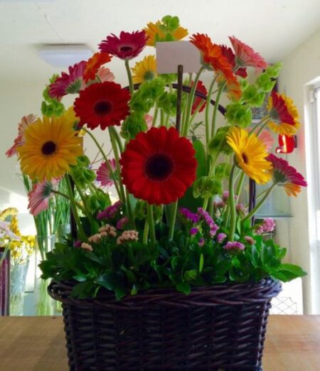 Canasta-con-30-Gerberas-Mixtas.jpg Canasta con 36 Gerberas Mixtas - Image 1