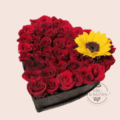 Girasol Enamorado | Corazón con 50 rosas y girasol