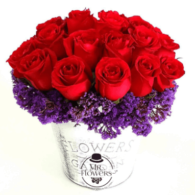 Maceta con 25 Rosas Rojas