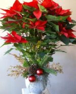 Nochebuena Elegante - Image 2