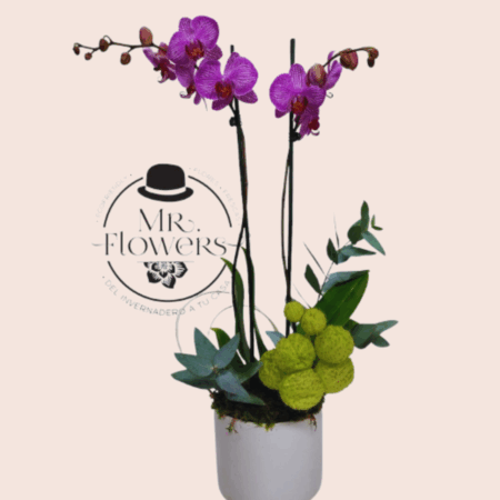 Orquidea Morada en Base Blanca - Image 1