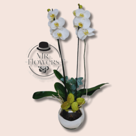 Orquídea en Base Plata - Image 1