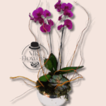 Orquídeas Moradas en Base Espejo