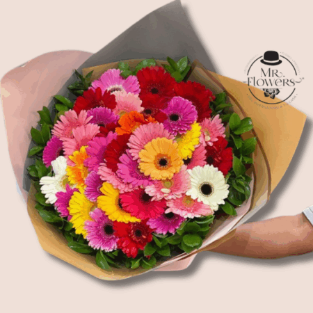 Ramo de 36 Gerberas - Image 1