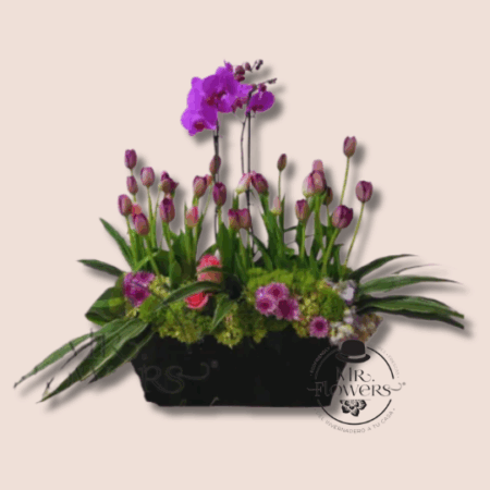 Sembrado de Orquídea y Tulipanes - Image 2