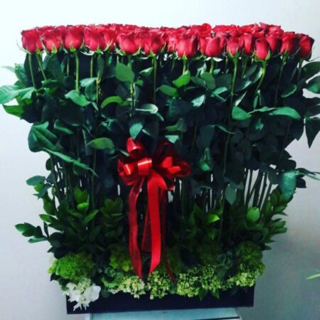 Sembrado con 100 Rosas - Image 1