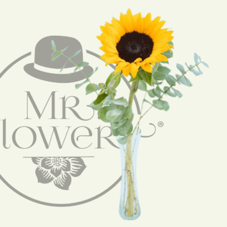 Violetero-con-Girasol.png Violetero con Girasol - Image 1