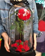 Rosa Encantada de la Bella y la Bestia - Image 2